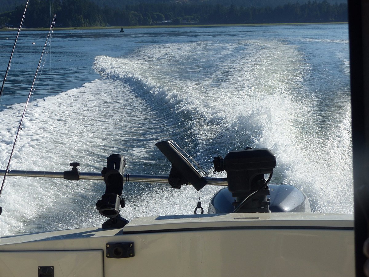 Sooke Basin charter fishing in a Glasply fishing boat. Large Tyee Spring  Salmon, Sockeye Salmon, Coho, Chum, and Pacific Halibut.