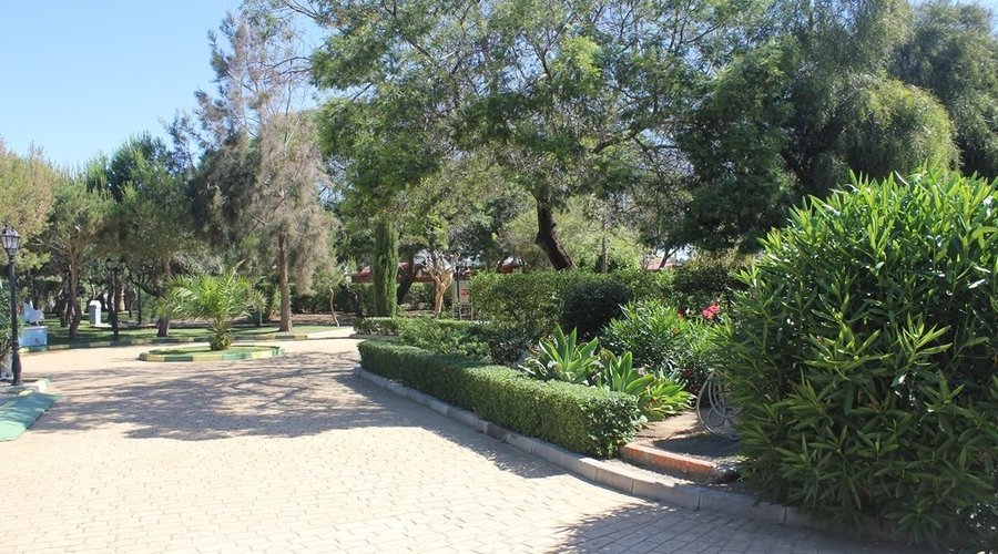 Parcelas - Área de Acampada