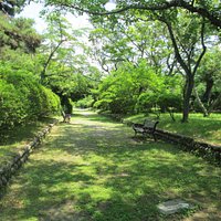 散策路