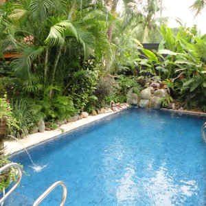 Tropical pool with water features
