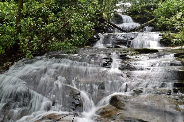 Escape to the Embrace of Nature: Uncovering the Hidden Gem of Hanging Dog Recreation Area