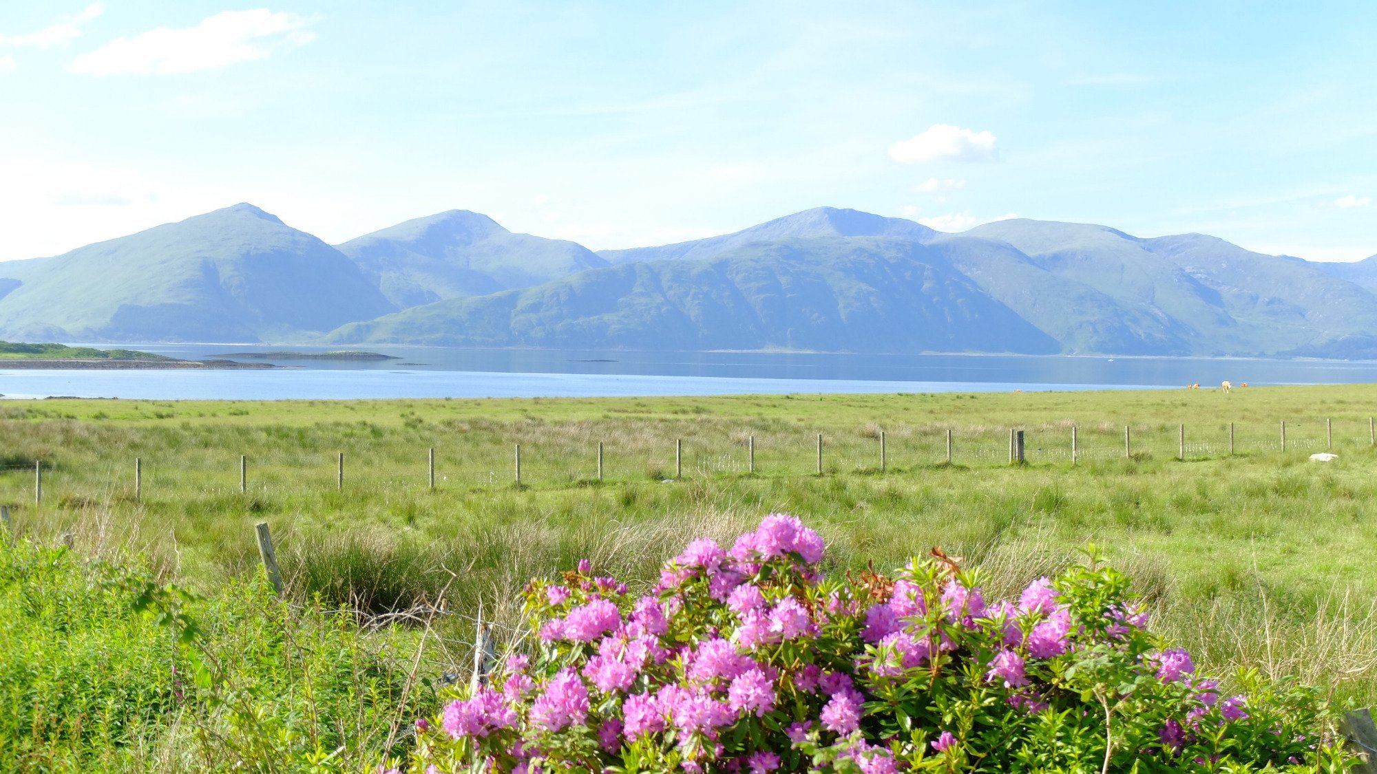 FASGADH BED AND BREAKFAST - B&B Reviews (Port Appin, Scotland)