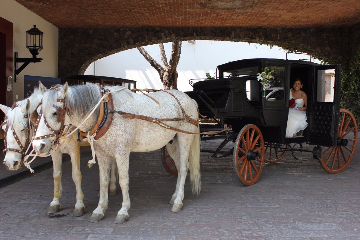 HACIENDA JURICA BY BRISAS (Керетаро) - отзывы, фото и сравнение цен -  Tripadvisor