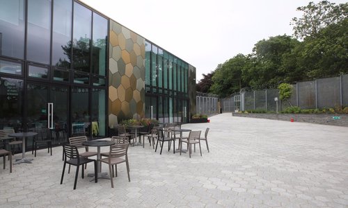 Cafe