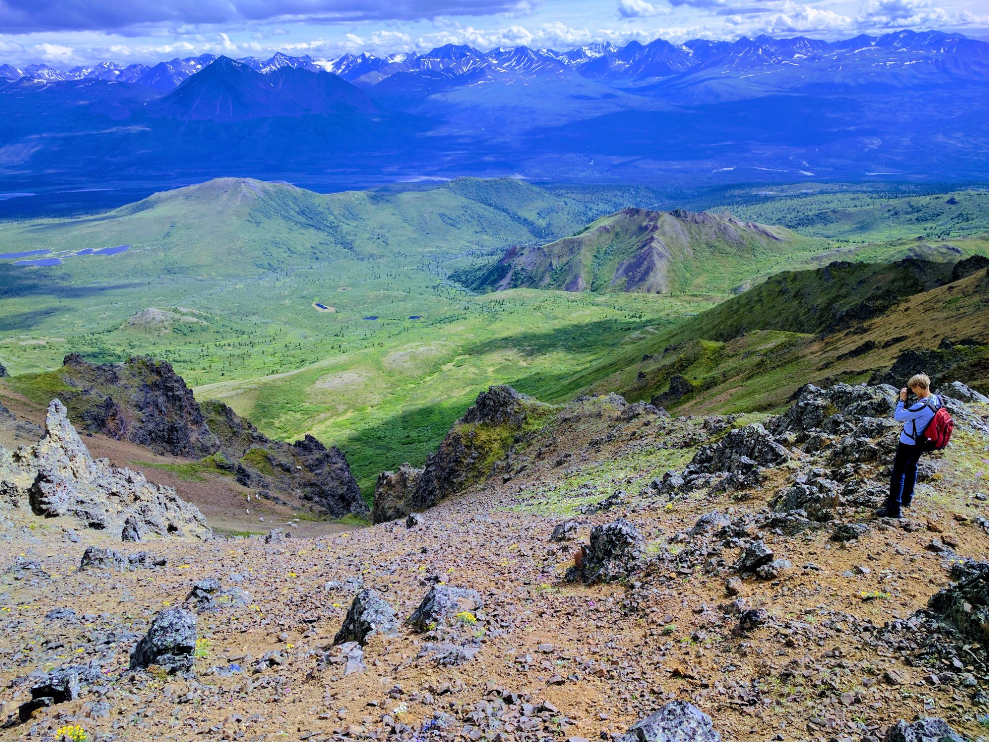 Denali guided outlet hikes