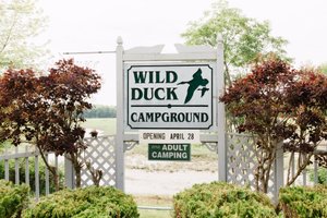 Maine's Wild Duck Camping Area: Where Nature's Symphony Meets Your Adventure