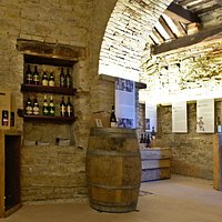 Il Vino Verdicchio come protagonista del Museo