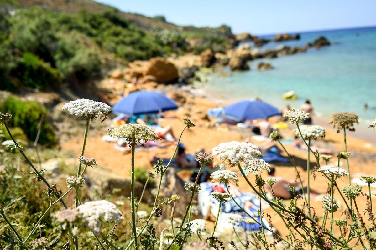 Thirtyseven Gozo by null