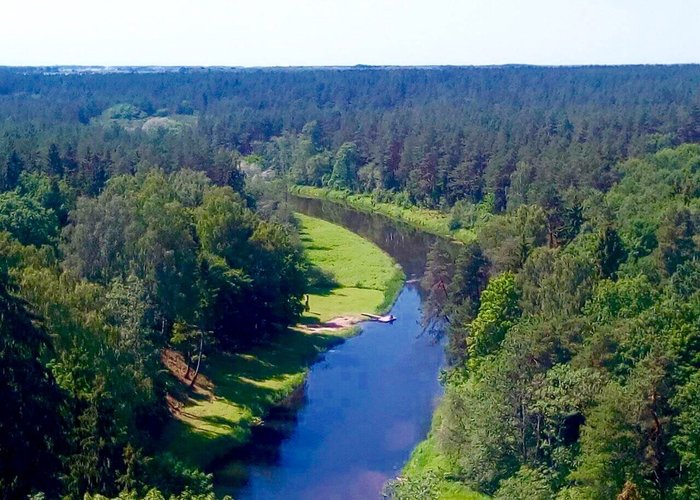 The view from the top