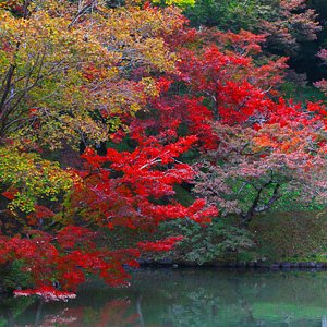 Harajiri Falls (Bungoono) - All You Need to Know BEFORE You Go