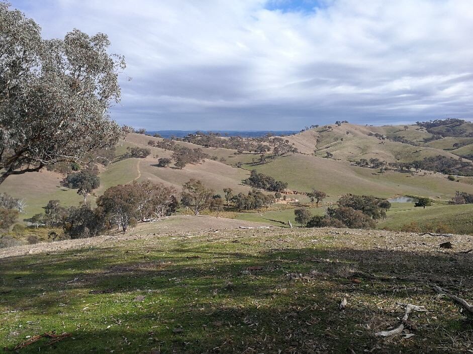 HILLVIEW FARMSTAY - Bewertungen, Fotos & Preisvergleich (Gundagai ...