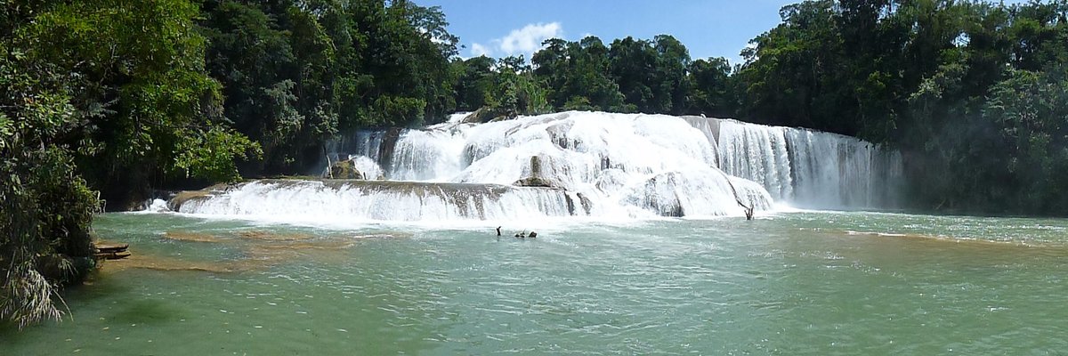 JUNGLE PALACE (PALENQUE, MÉXICO): 57 fotos e avaliações - Tripadvisor