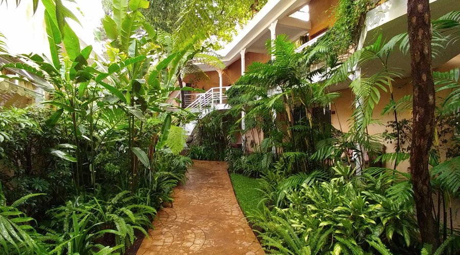 Pasillo en Jardín 
