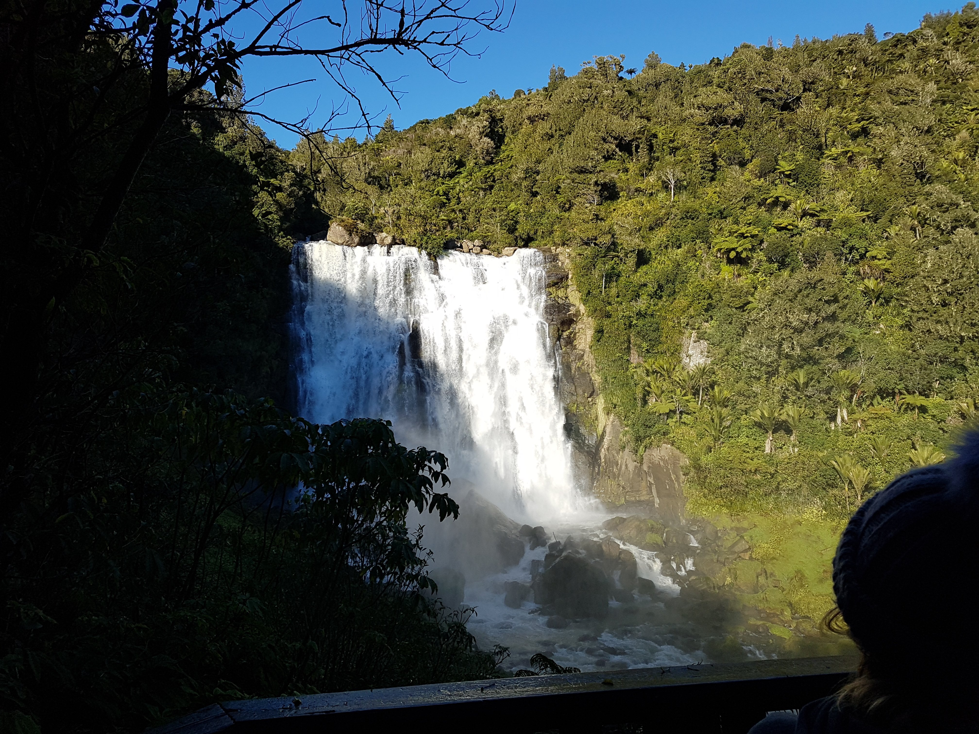 WAITOMO CAVES TOURS & TRANSFERS - All You Need To Know BEFORE You Go