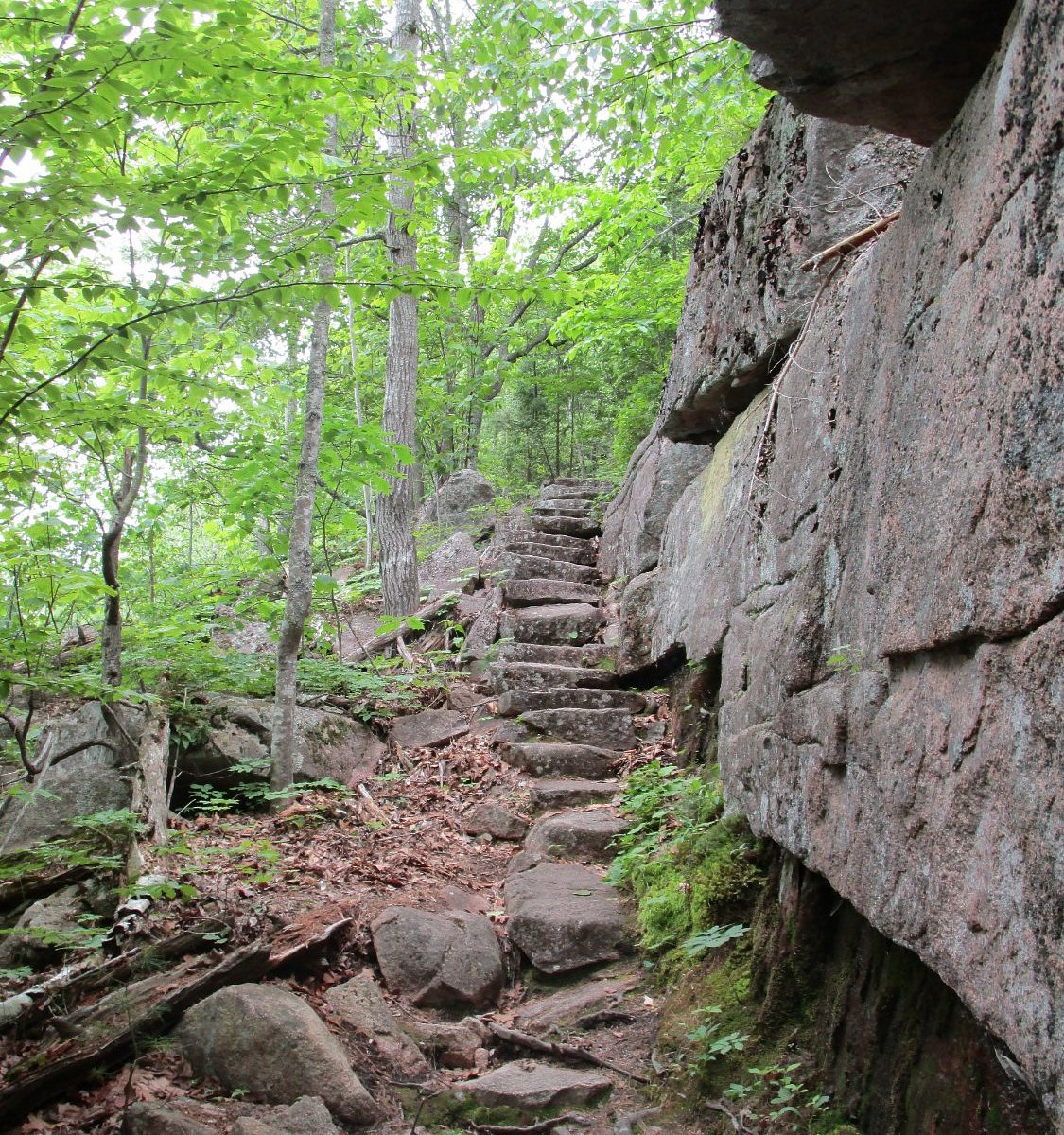 Dorr Mountain Trail Map Dorr Mountain (Acadia National Park) - All You Need To Know Before You Go