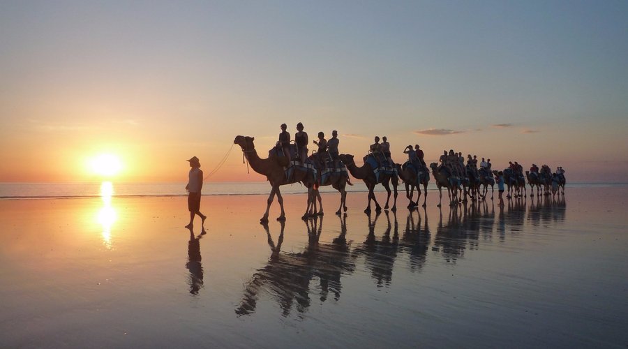 Each of the three camel tours pass our entrance several times each day