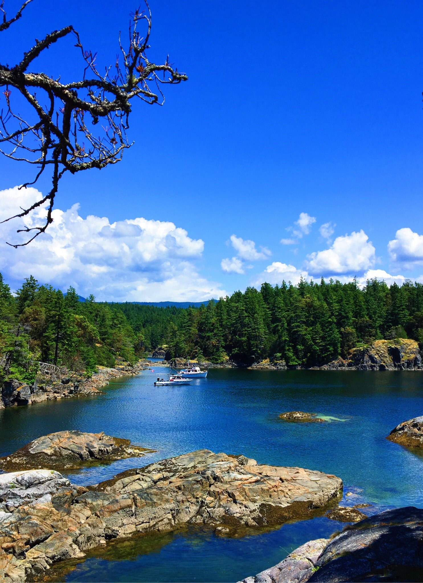 Halfmoon Bay, British Columbia 2023: Best Places To Visit - Tripadvisor