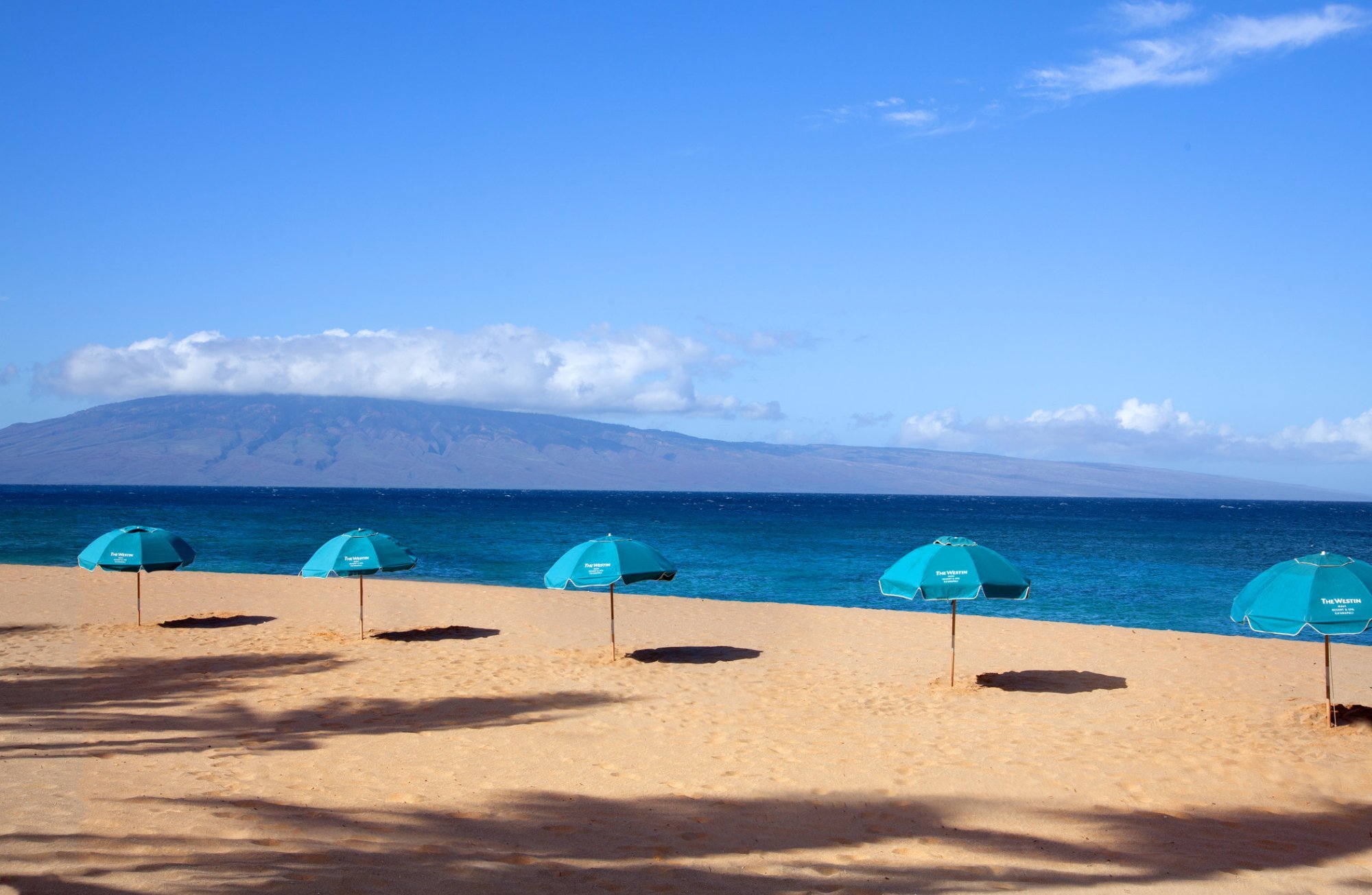 The Westin Maui Resort & Spa, Ka'anapali by null