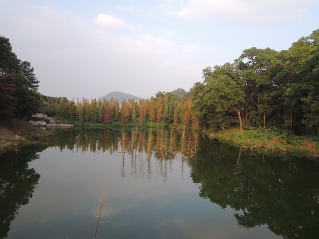 Mt. Jinshan Forest Park - All You Need To Know BEFORE You Go (2024)