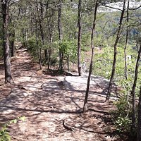 Long Point