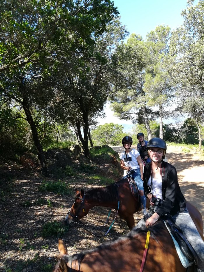 Imagen 9 de Barcelona Horse Tours