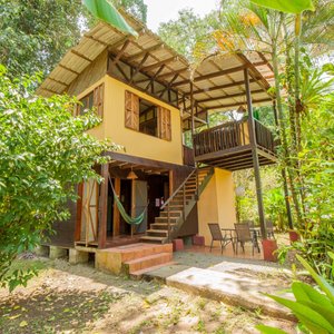 Jungle House day