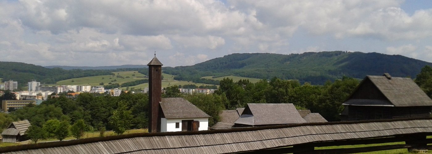 view