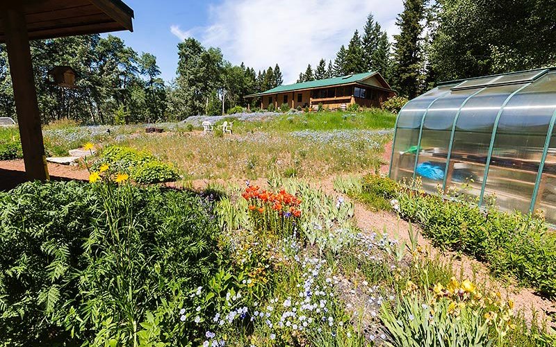 The naturalized landscape design is inspired by the exploration of where we live.
