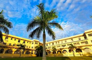 Crystal Bay Hotel in St. Petersburg, image may contain: Villa, Hotel, Tree, Palm Tree