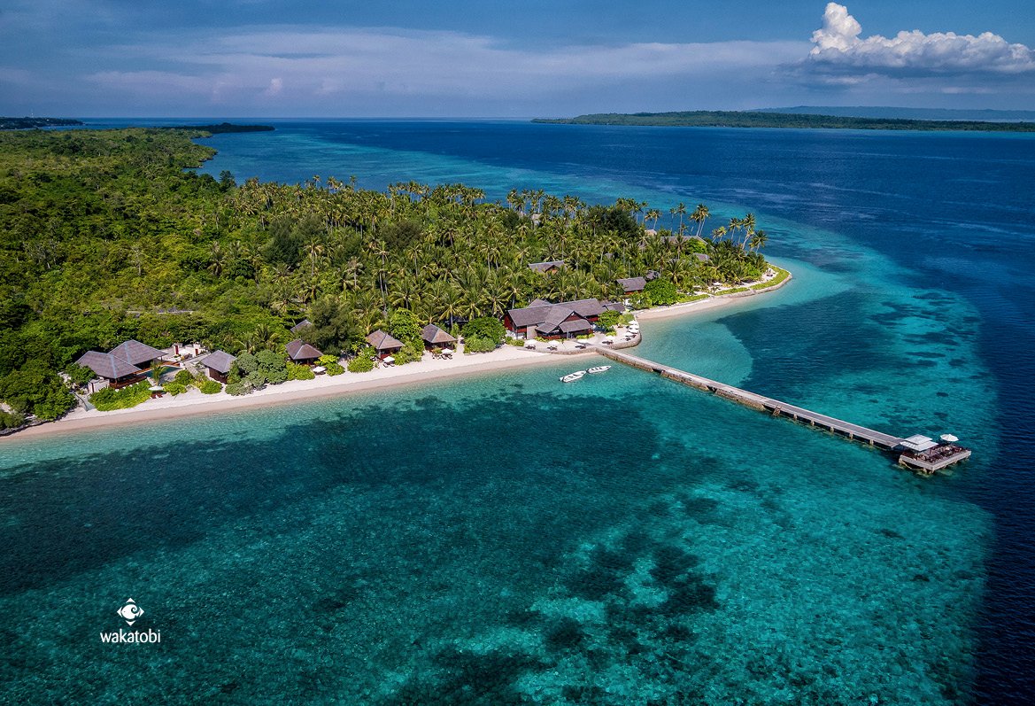 WAKATOBI DIVE RESORT : Tarifs 2024 Et 13 Avis