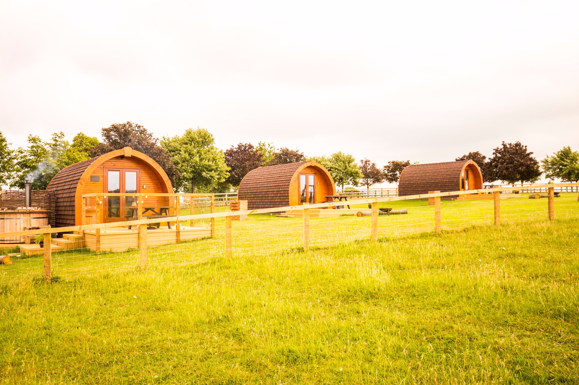 Wingbury Farm Glamping - 5