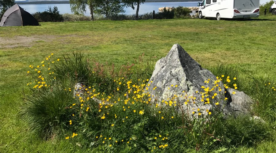 Sommeridyll på campingen.