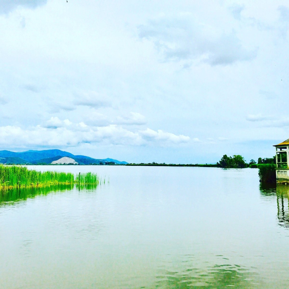 Lake Massaciuccoli, Торре-дель-Лаго-Пуччини: лучшие советы перед посещением  - Tripadvisor