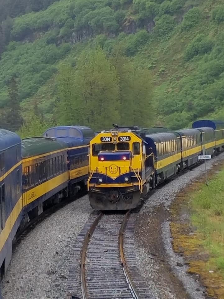 Ride the Alaska Railroad: Experience Wild Beauty, Day…