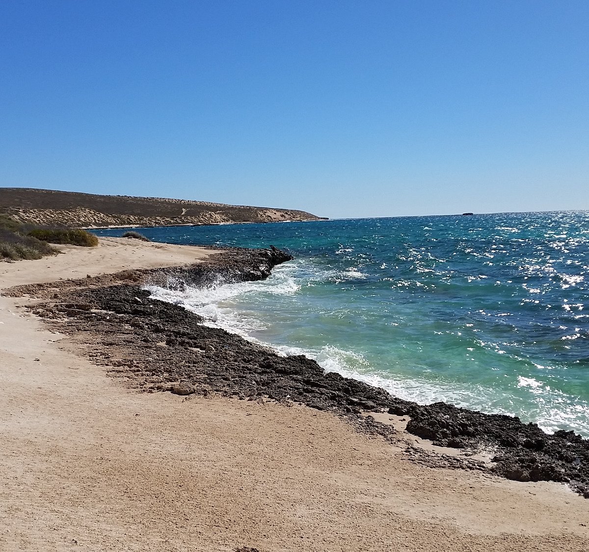 Shark's bay. Шарк Бей.