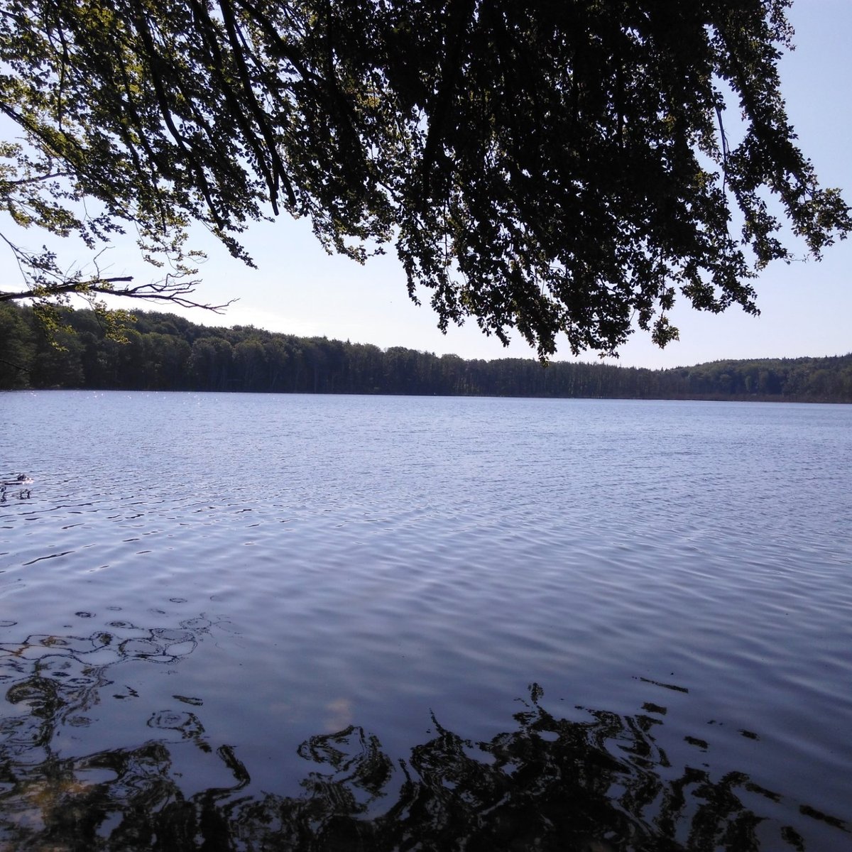 WOLGASTSEE All You MUST Know Before You Go (2025)