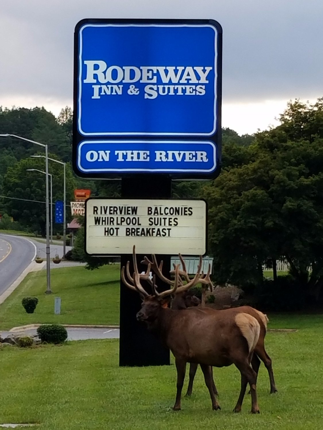 RODEWAY INN & SUITES ON THE RIVER - Updated 2024 Reviews, Photos & Prices