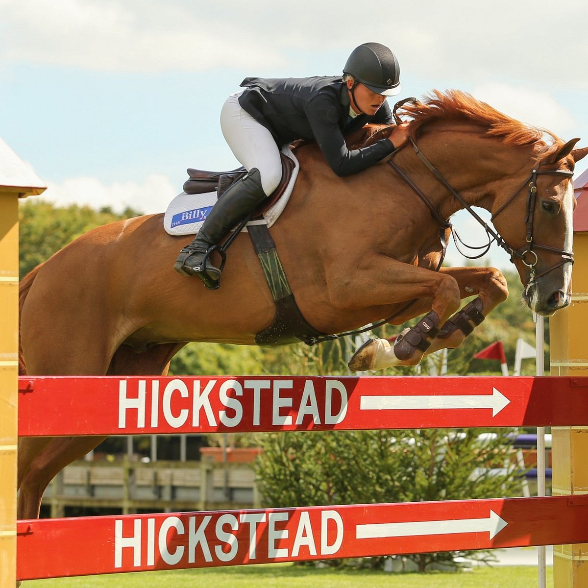 Прочитайте текст конкур. Хикстед. Конкур Хикстед. All England jumping course at Hickstead. All England jumping course.