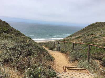 are dogs allowed at pajaro dunes