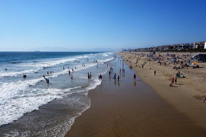 are dogs allowed on manhattan beach ca