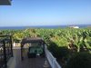 LoveTravel687929