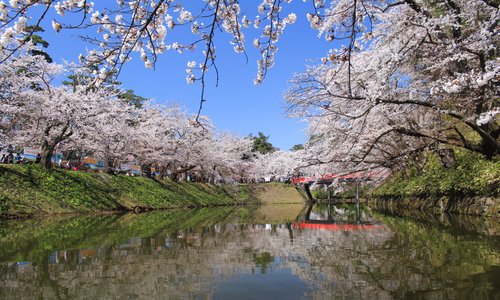 堀を船で移動中の景色
