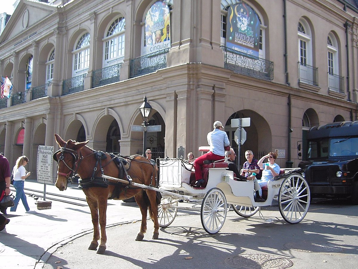 tours isabelle new orleans reviews