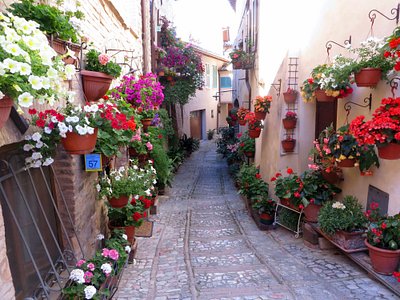 Spello, Italy 2024: Best Places to Visit - Tripadvisor