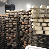Visita, explicación y degustación
