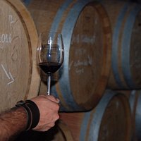 Celler Matallonga