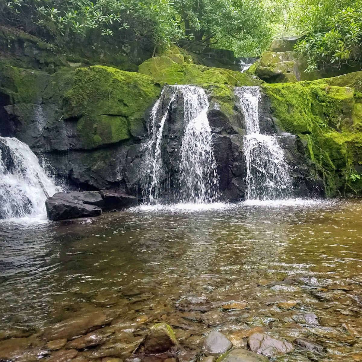 Great Smoky Mountains пешеходная тропа