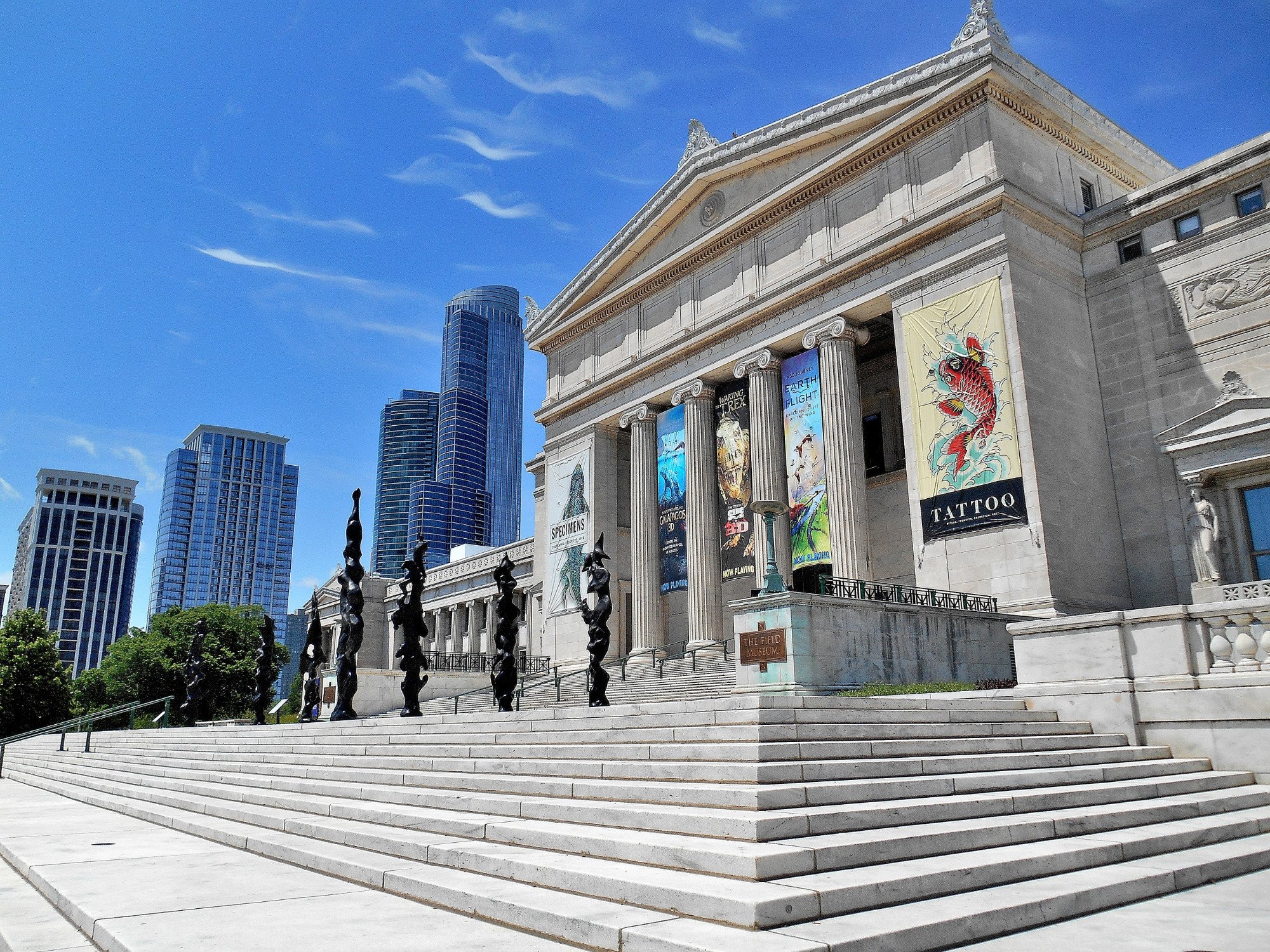 THE 10 BEST Things To Do In Chicago 2024 Must See Attractions   The Field Museum South 