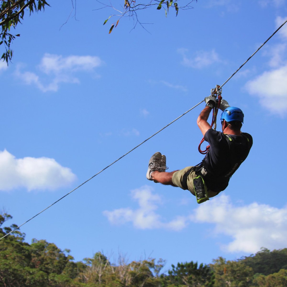 Thunderbird Park (Tamborine Mountain) All You Need to Know