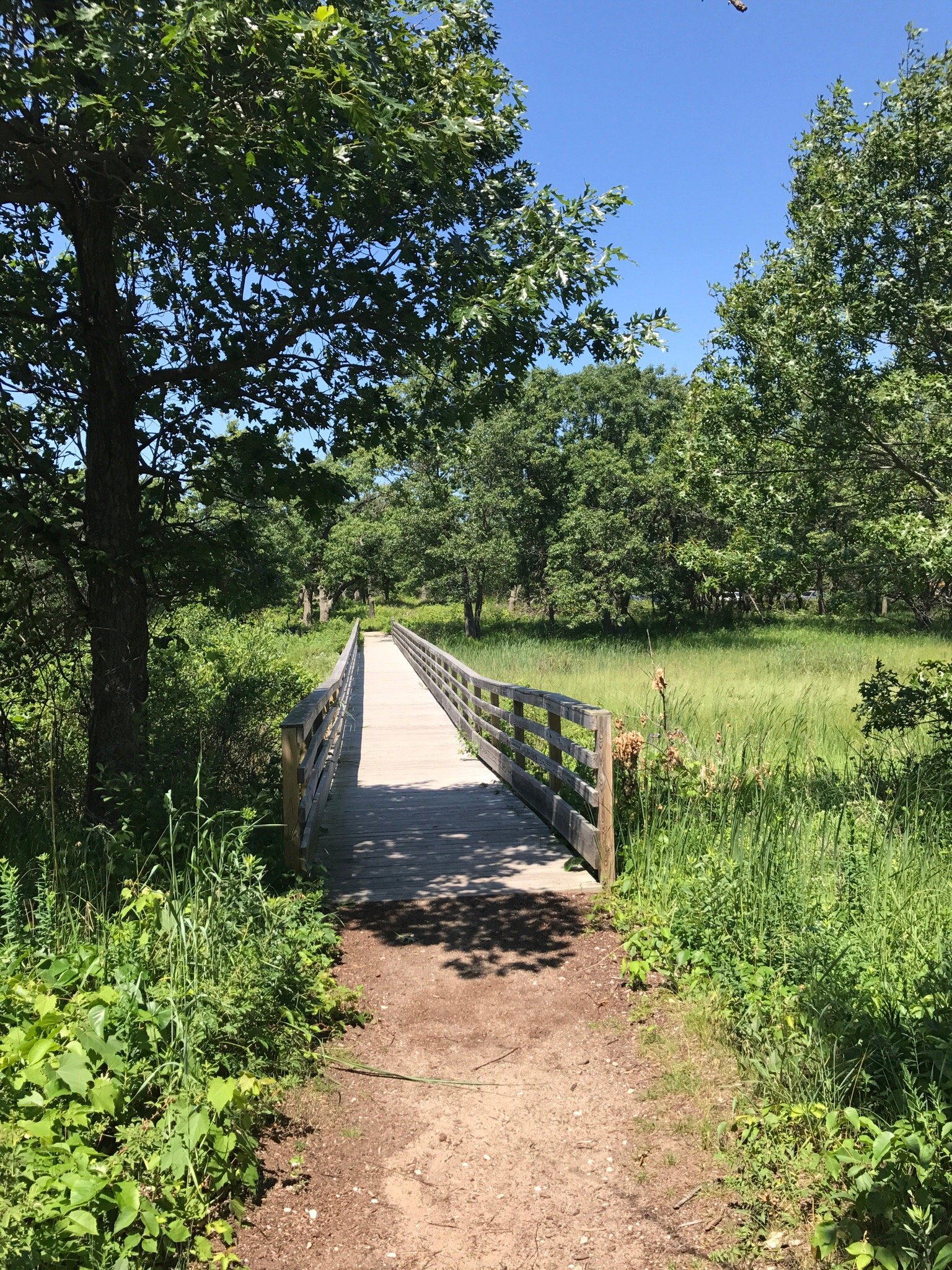 2025年 Illinois Beach State Park - 出発前に知っておくべきことすべて - トリップアドバイザー